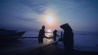 渔民捕鱼视频素材高清视频高清视频免费下载视频素材