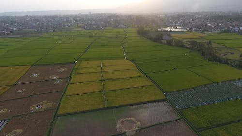 Drone Footage of an Agricultural Field