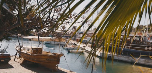 Boats Docked at the Bay