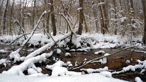 A Snow Covered River