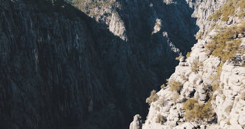 Aerial View of Rocky Mountains and Forest