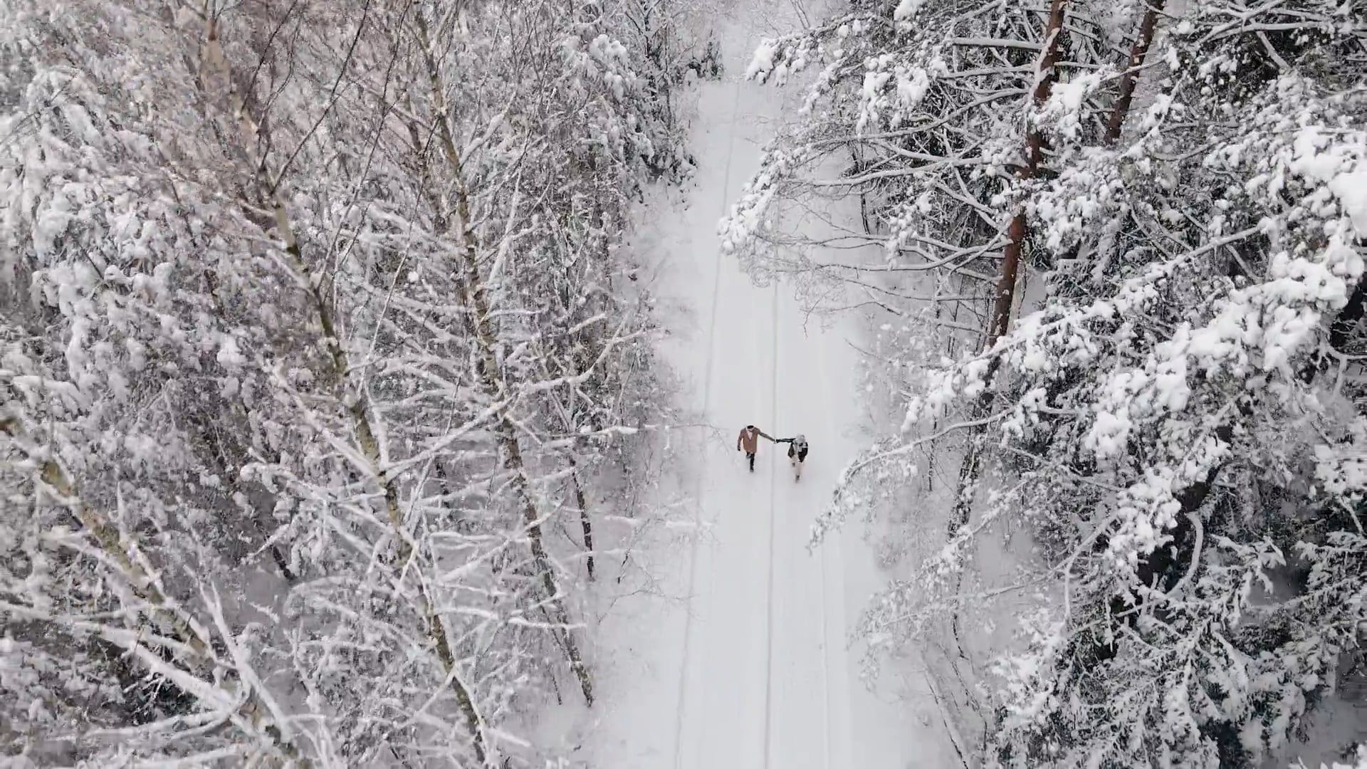 Drone Footage of a Couple Walking on Snow Free Stock Video Footage ...
