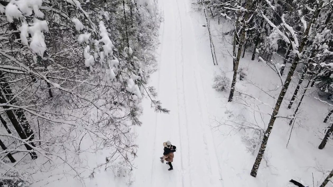 A Couple and a Dog on a Snowy Forest Free Stock Video Footage, Royalty ...