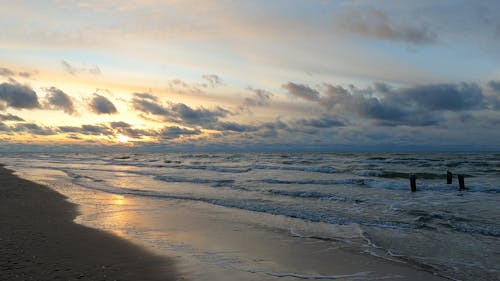 Waves in the Shore