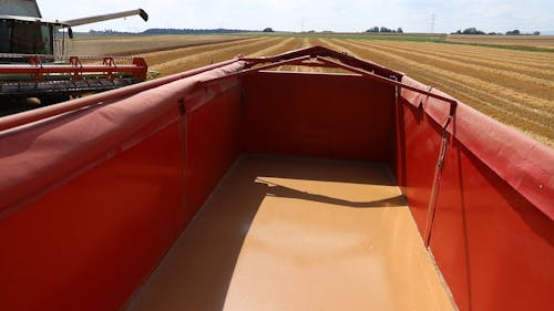 A Close-Up Shot of a Combine Harvester Unloading Rice to a Truck