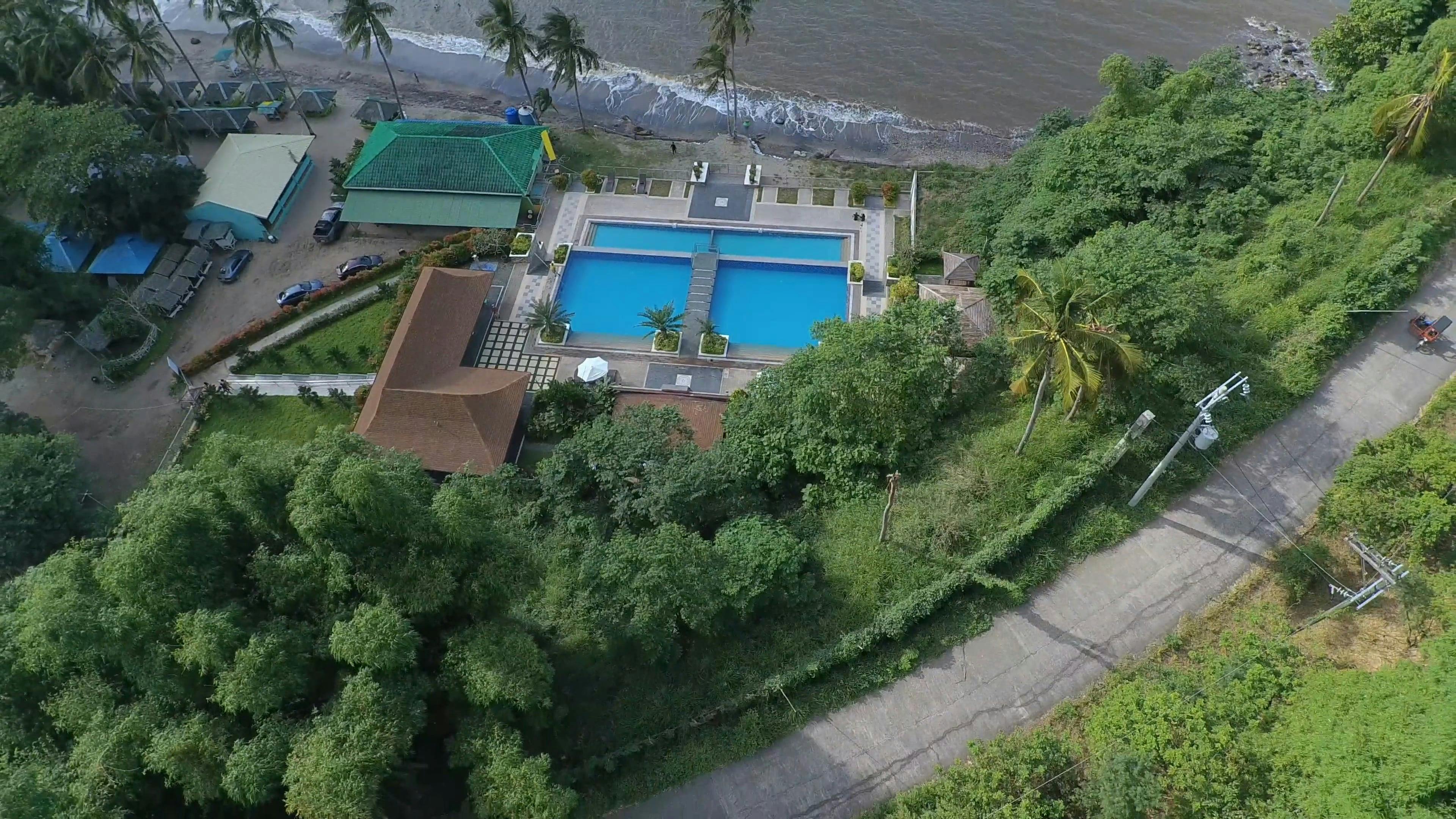 Philippine Forest Videos, Download The BEST Free 4k Stock Video Footage