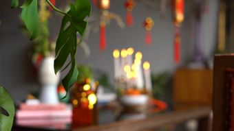 春节免费下载视频素材