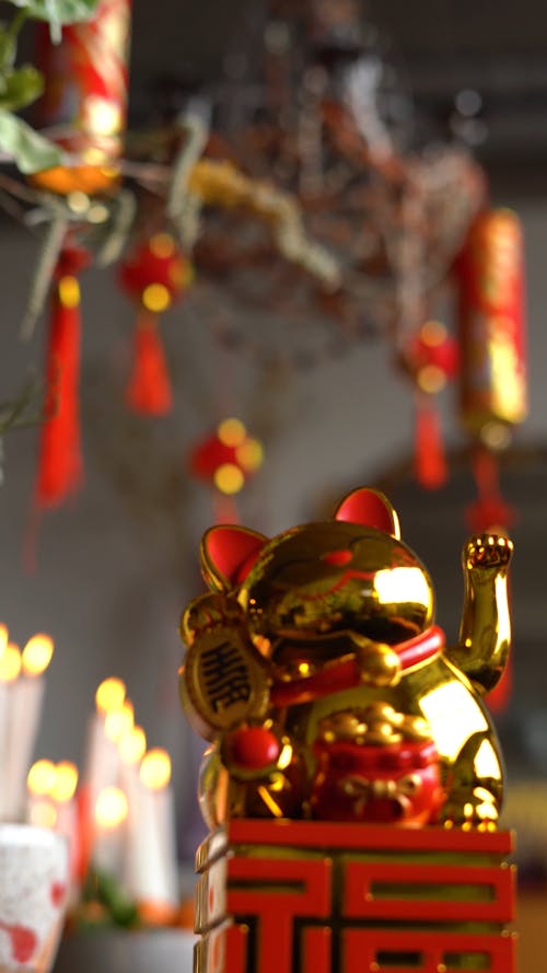 32,289 Chinese New Year Stock Video Footage - 4K and HD Video