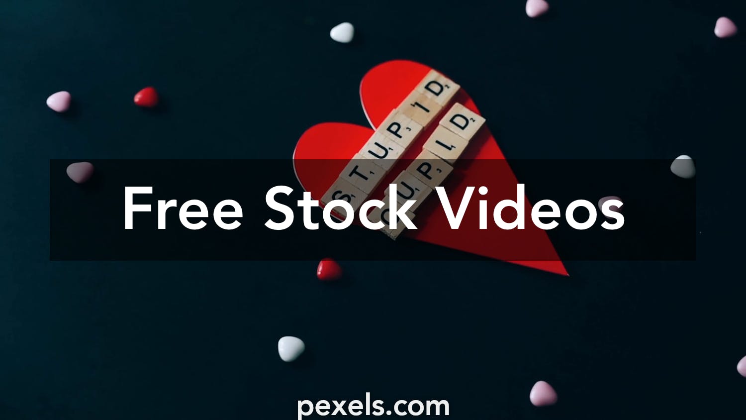 Idiot Stock Footage: Royalty-Free Video Clips - Storyblocks