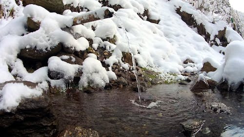 Water in a Snowed Forest 