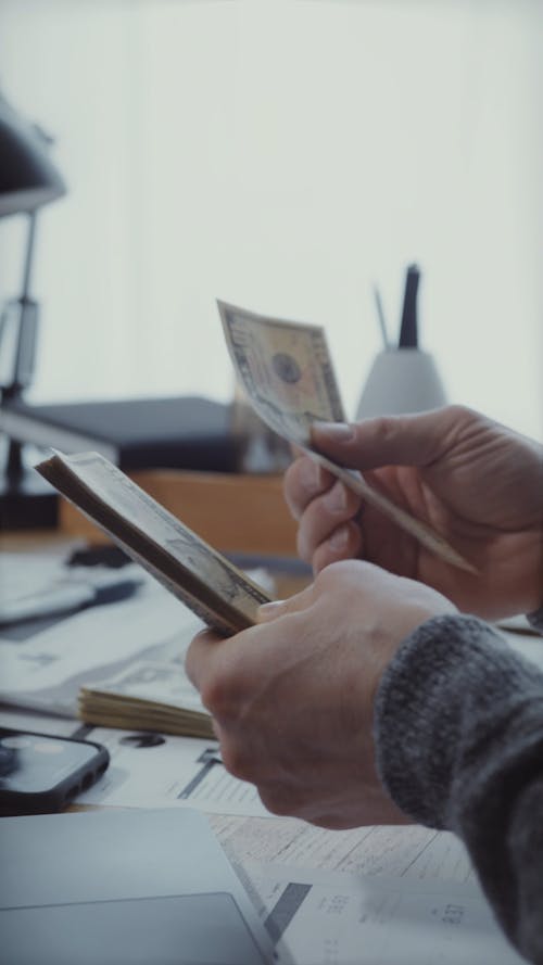 A Person Counting Money