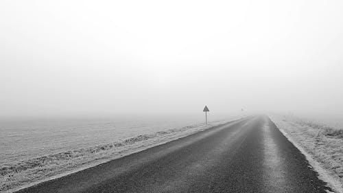 Black and White Shot of Road