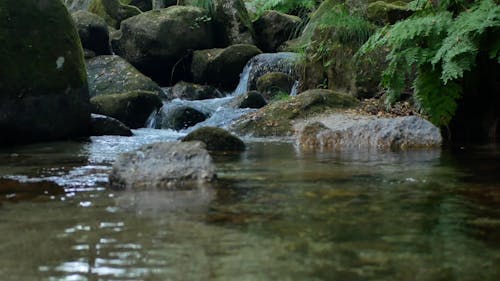 Cascading Water Through the Mossy Rocks