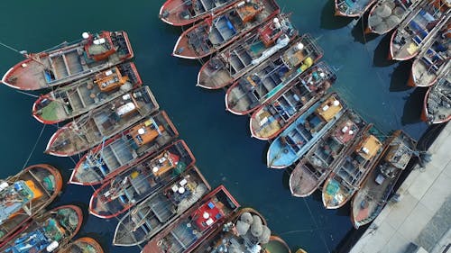 Aerial View of Docked Fishing Boats 