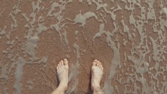 循环免费下载视频素材免费下载高清视频视频素材