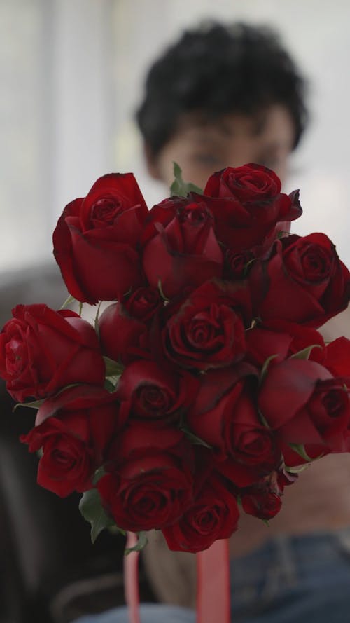 Close Up Shot of Red Roses