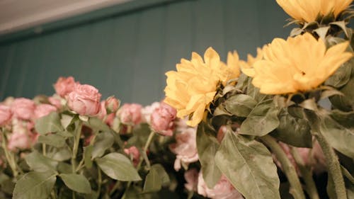 Close-Up View of Flowers