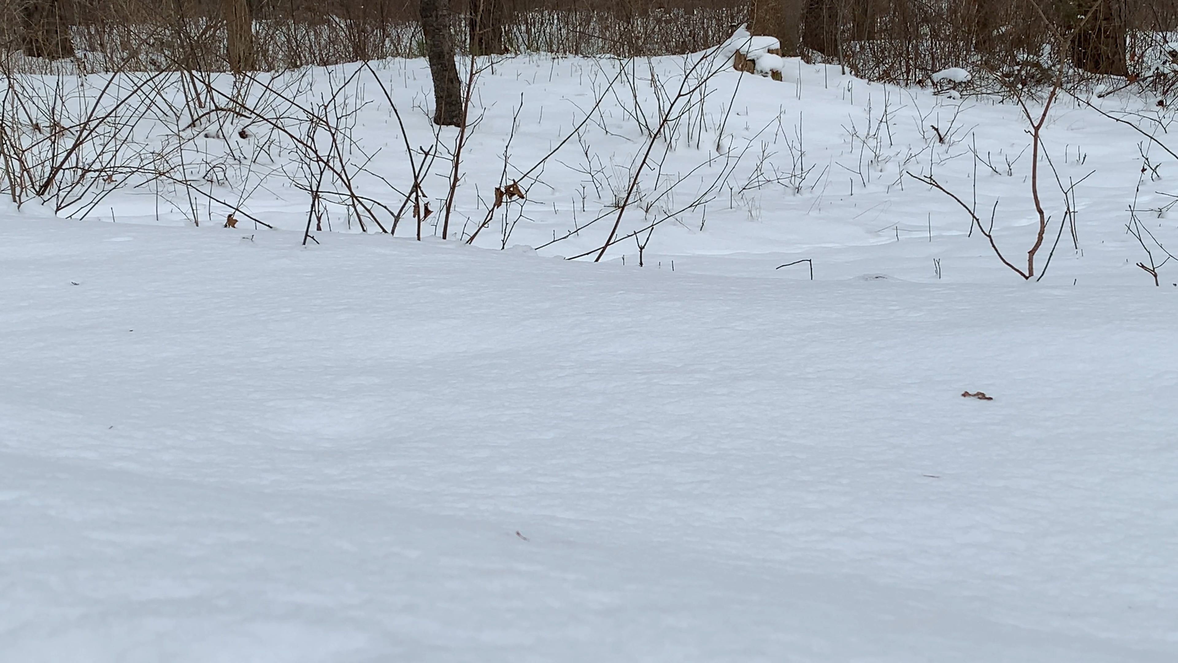 low angle shot of a man walking in the snow 6766947