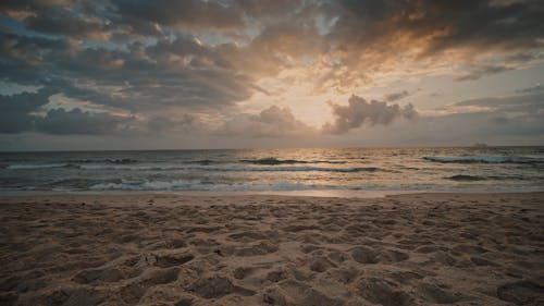 Person and a Dog Walking on the Seashore