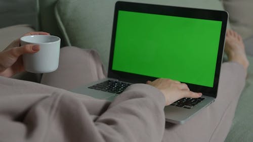 Person Using a Laptop