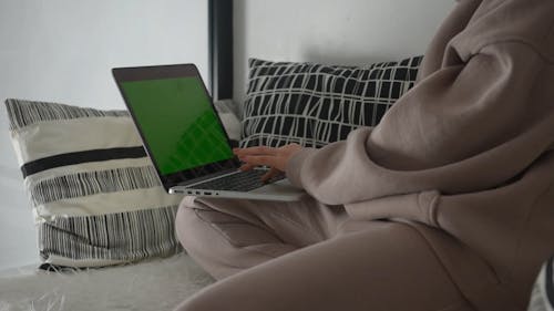 Person Using a Laptop