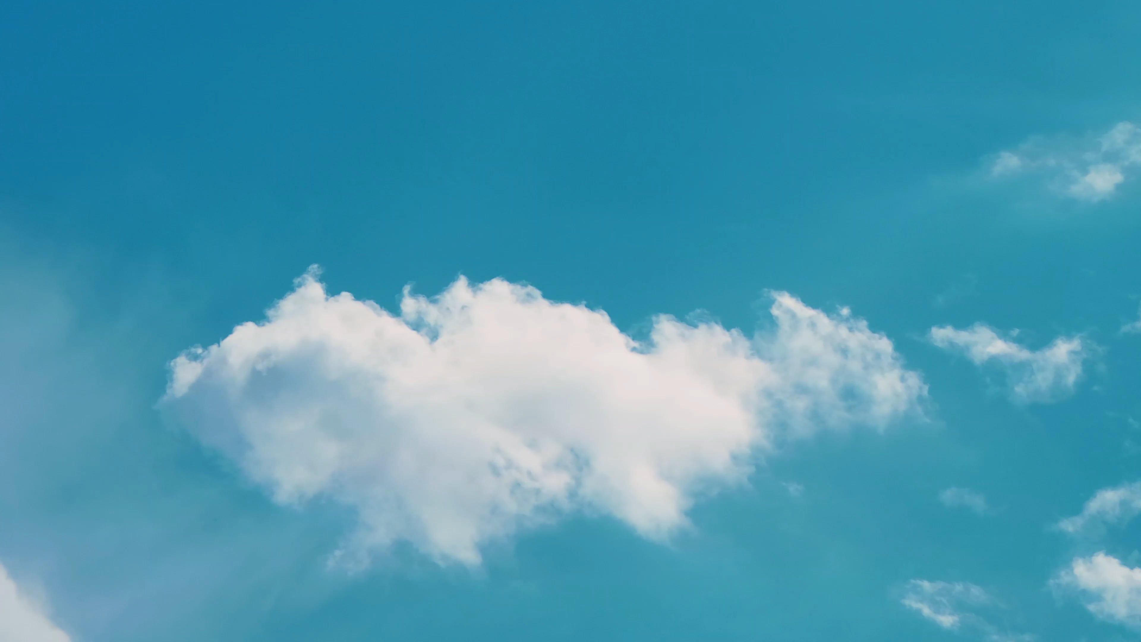 Video by Miguel Á. Padriñán
