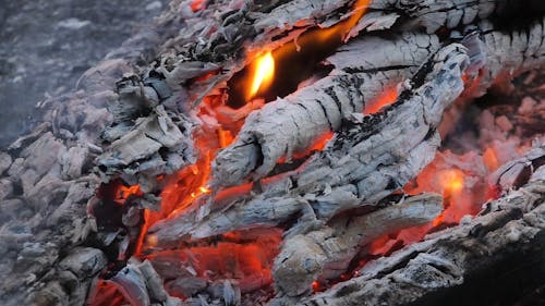 Close Up Shot of Charcoal Burning