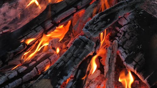 Close-Up View of a Burning Wood