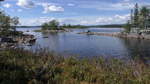 Wide Angle Shot of a River