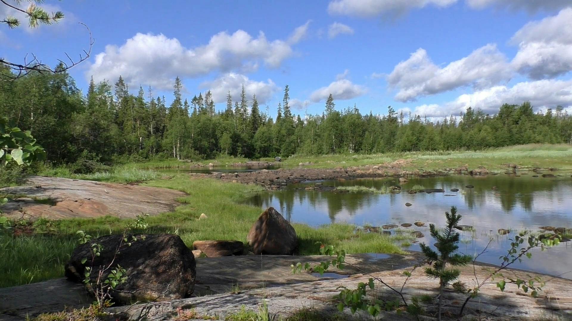 Video by Victor Rogov