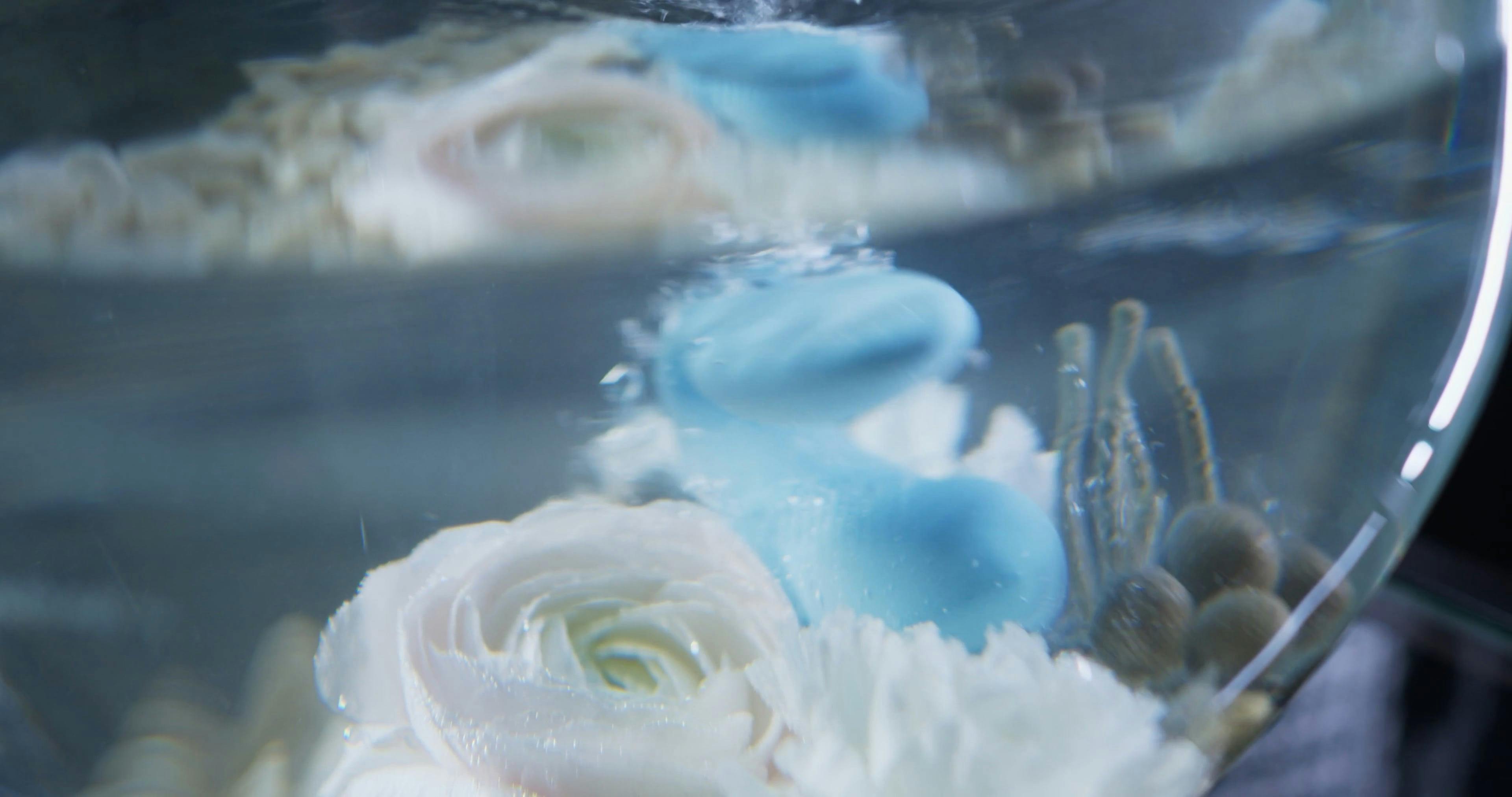 Hands Holding Adult Toys \u00b7 Free Stock Video