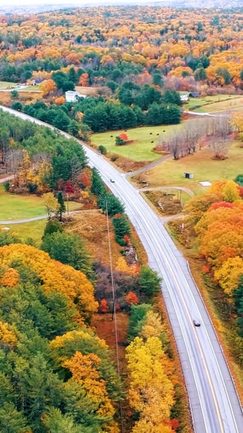 Drone Footage of a Highway During Autumn