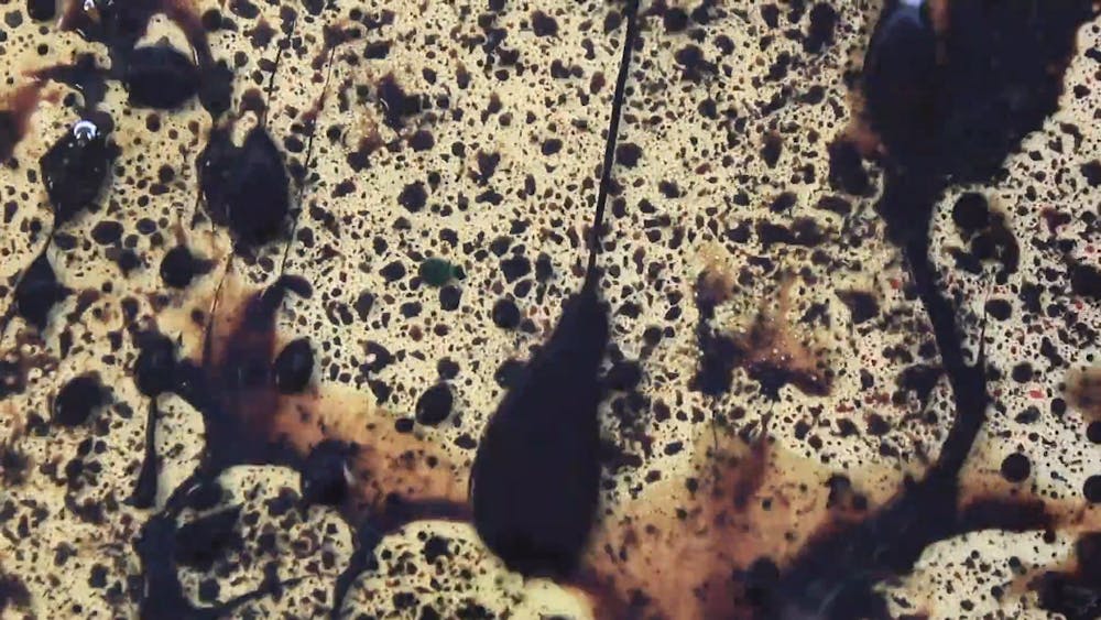 ポール・シャンハイによる液体に関する 8 つのリアルな絵