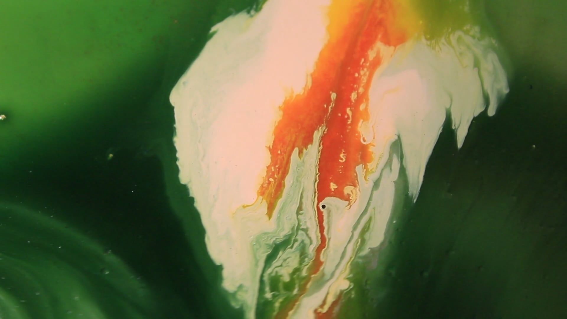 Video by ad urpina
