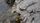 rock texture