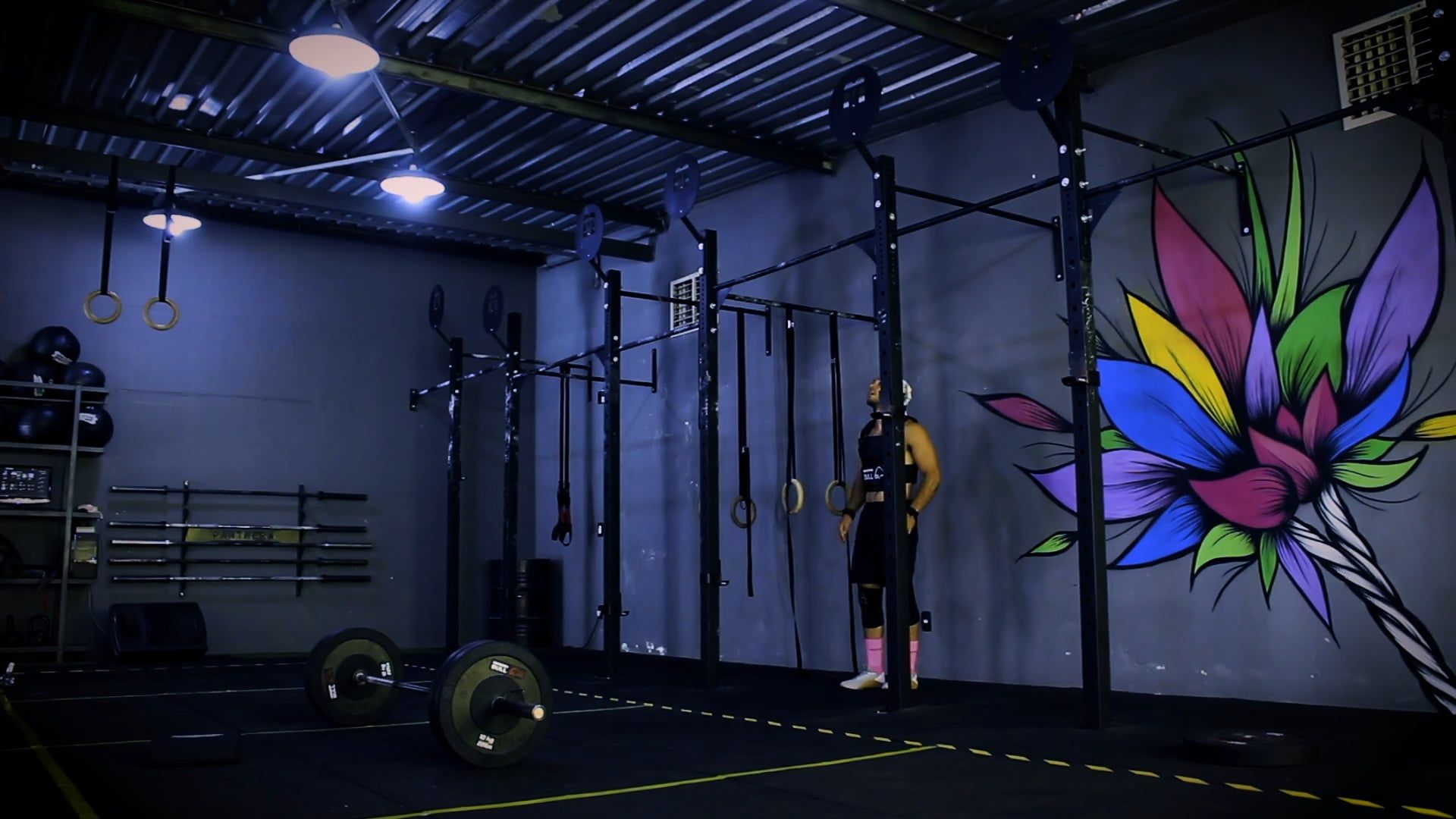 Workouts Videos, Download The BEST Free 4k Stock Video Footage ...