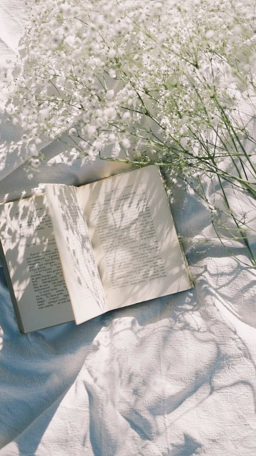 Flat Lay of open Book with White Flowers Outdoors