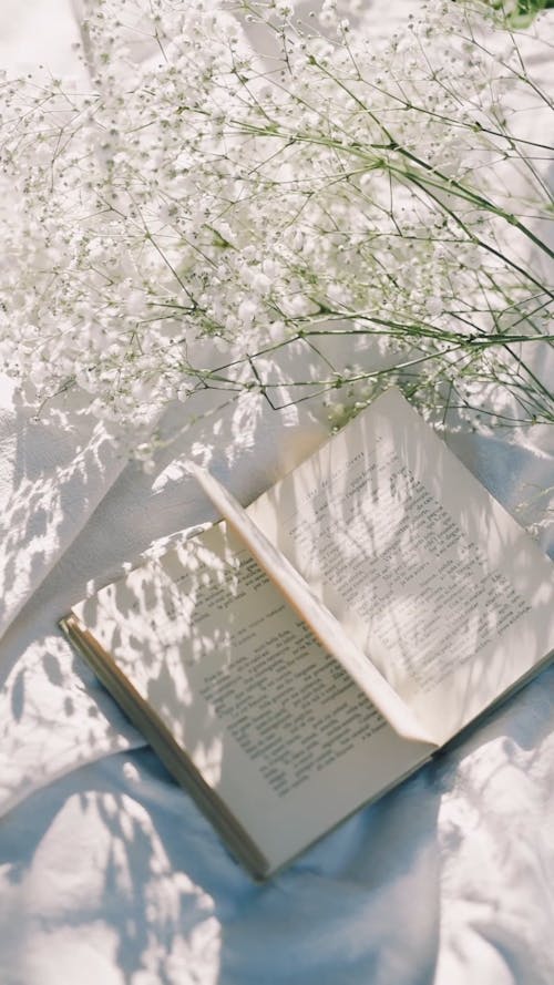 A Book and a Flower on a Picnic Blanket