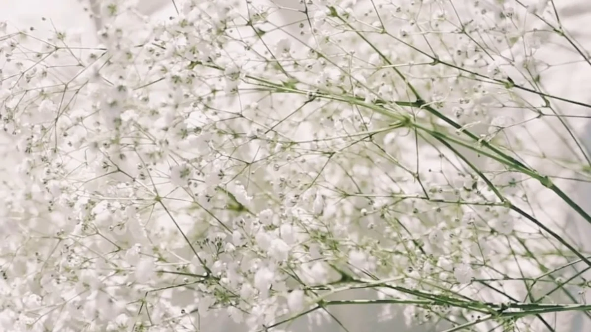 Mastering SQL Query Union: A Step-by-Step Guide for Combining Queries