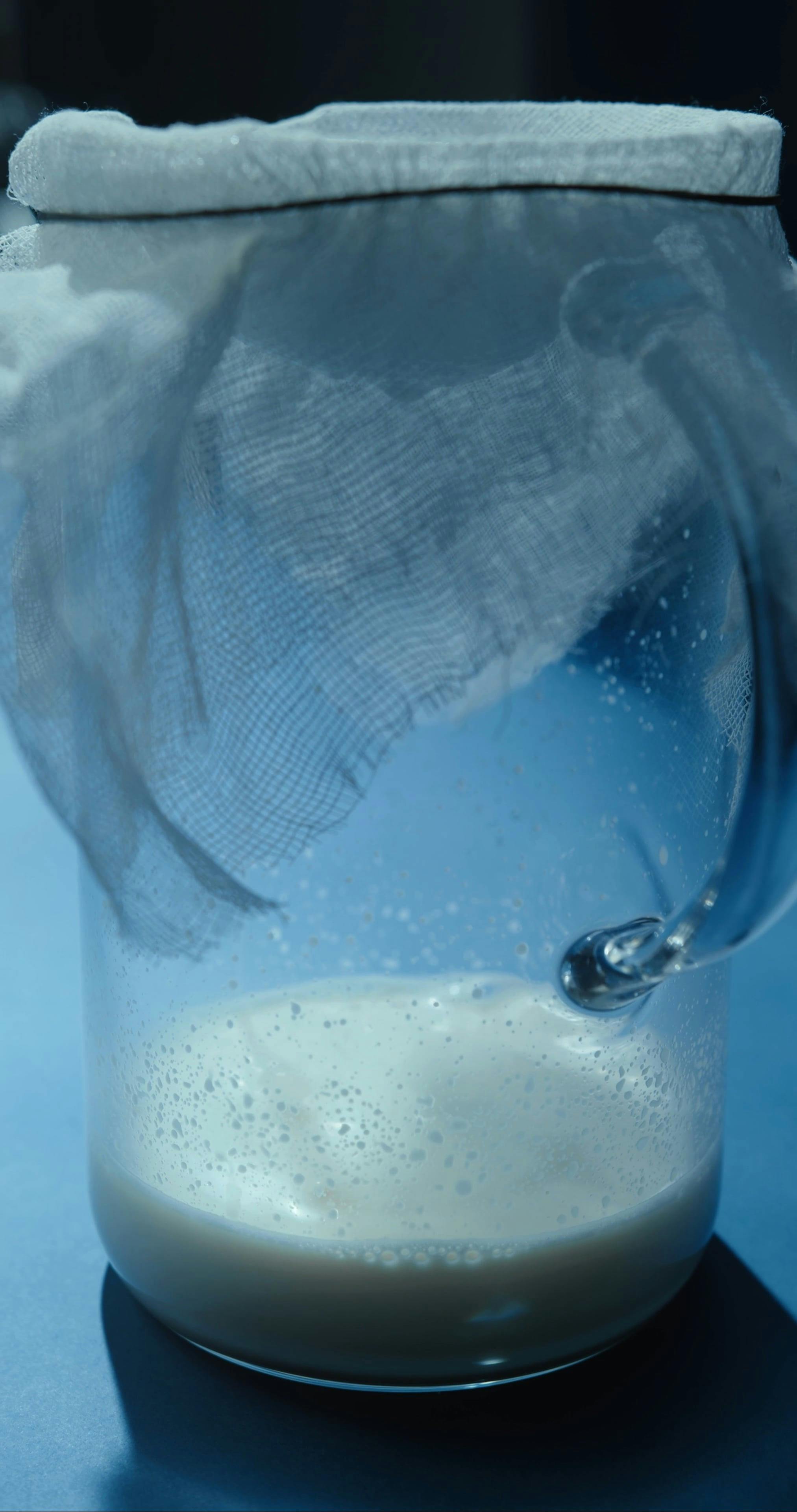 Filtering Almond Milk · Free Stock Video