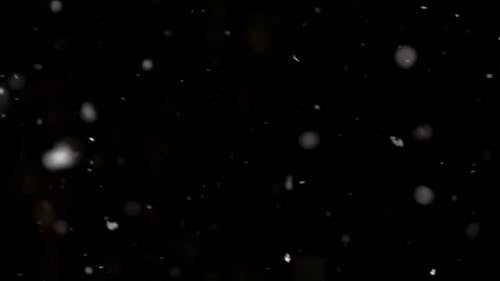 Snow Fall Footage at Night