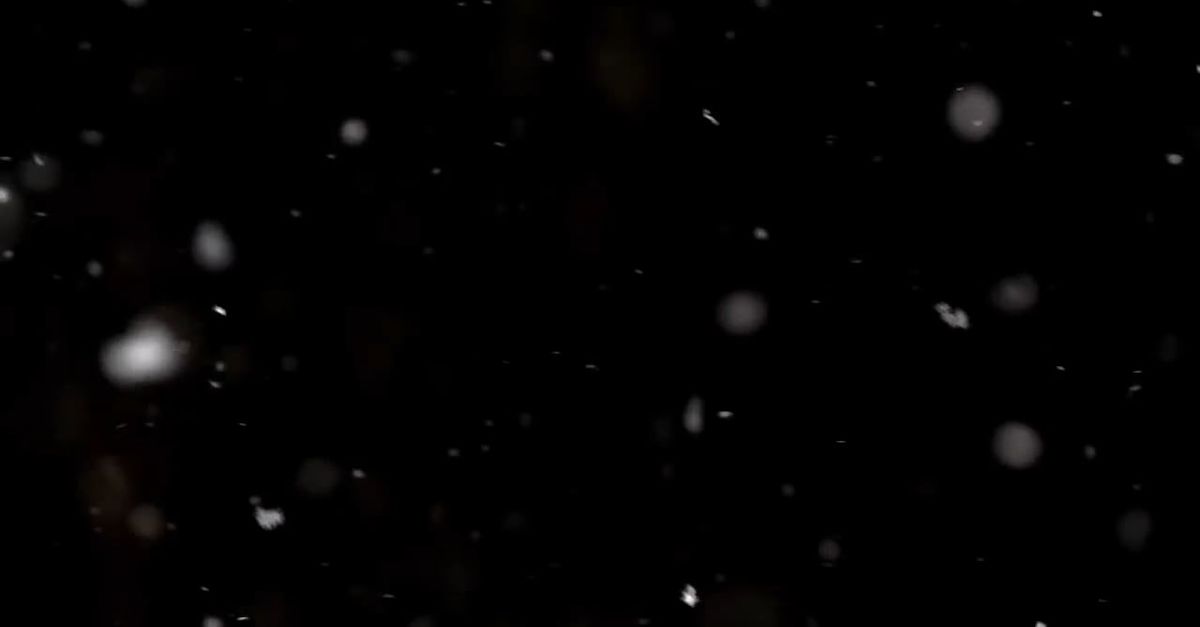 Snow Fall Clips Snow Fall Footage at Night Free Stock Video Footage, Royalty-Free 4K ...