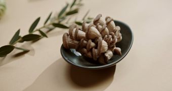 豆腐视频素材