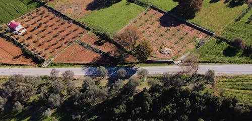 Drone Footage of Countryside