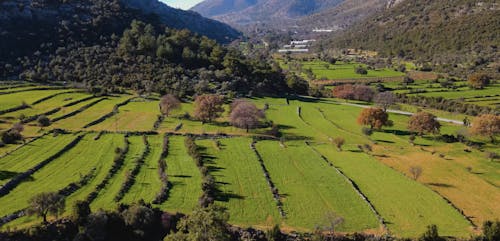 Drone Footage of Countryside