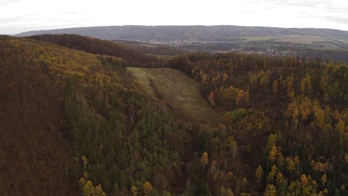 Aerial Footage Of Mountain Forest