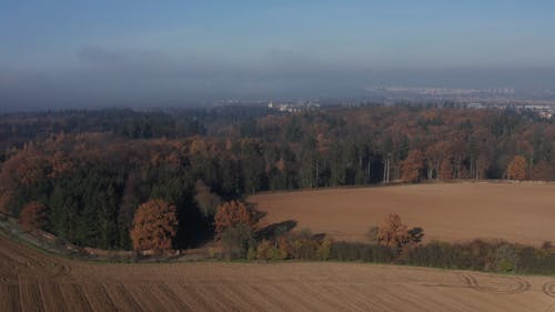 Aerial Footage Of Dense Forest