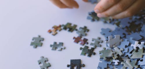 A Person Holding a Puzzle Pieces