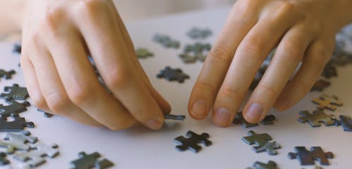 Putting Jigsaw Puzzle Together