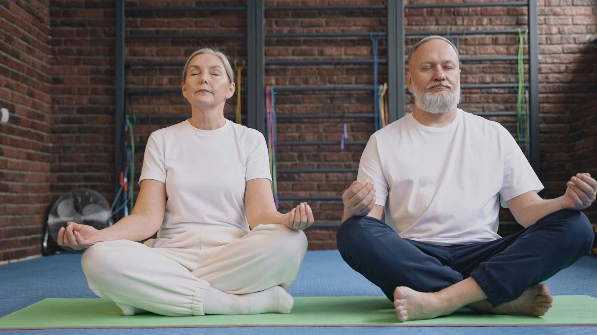 A Senior Couple Meditating · Free Stock Video